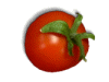 Captcha image 1304