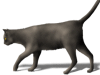 Captcha image 2743