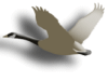 Captcha image 3519