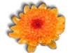 Captcha image 6160